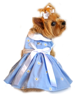 Doggie Design - Denim & Daisy Harness Dress in Soft Blue is perfect for the spring!  This adorable Harness Dress features embroidered daisies throughout, and is fully lined.  It is belted with a large white satin bow.  Velcro closures at neck and belly.  "Denim" refers to the soft blue color, not blue jean fabric.