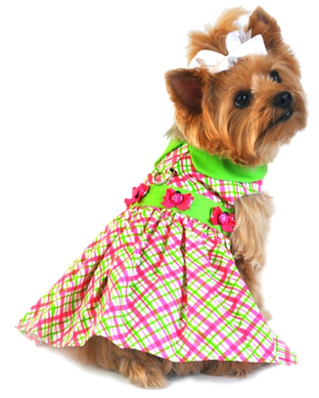 Doggy dress