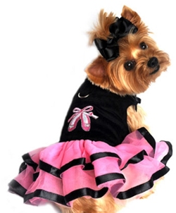 Doggie Design's New Ballerina Tutu Slipper Dress will make your little girl want to dance for joy!  Made with a Very High End Black Velvet Bodice and Pink Chiffon Skirting, with Black Satin edge trim. This Tutu Dress is a harness style with Velcro closures and D-ring for easy leash attachment.  Features Embroidered Pink Jeweled Ballerina Slippers and 2 Velvet Ribbons on the shoulder. Comes with D-Ring.