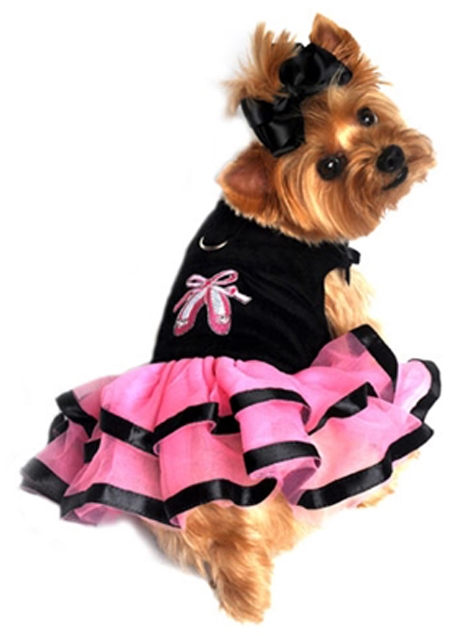 Doggie Design's New Ballerina Tutu Slipper Dress will make your little girl want to dance for joy!  Made with a Very High End Black Velvet Bodice and Pink Chiffon Skirting, with Black Satin edge trim. This Tutu Dress is a harness style with Velcro closures and D-ring for easy leash attachment.  Features Embroidered Pink Jeweled Ballerina Slippers and 2 Velvet Ribbons on the shoulder. Comes with D-Ring.