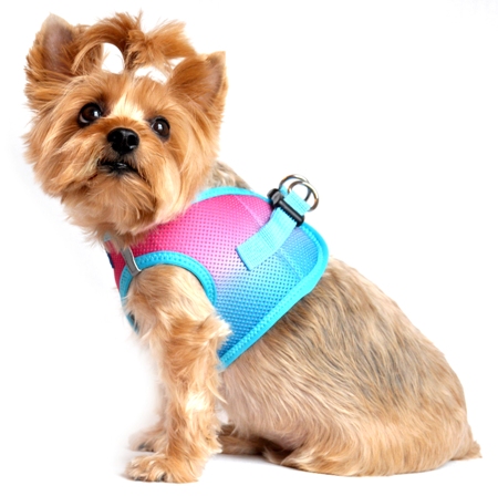 Doggie Design - Sugar Plum (Aqua & Pink) Choke-Free Mesh Harness - NEW for Spring 2015  Our latest Patented Ombre American River Choke Free Harnesses.