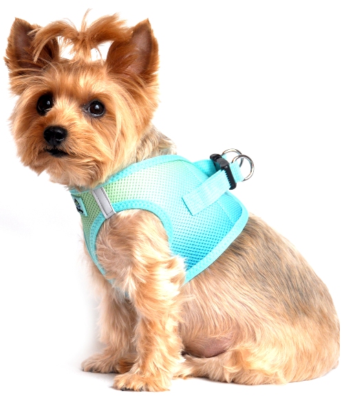 Doggie Design - American River Choke-Free Cool Mesh Harness - Aruba Blue - Doggie Design is the FIRST and ONLY company in the world to create this Exciting New Ombre Harness Design. They used their own special color blending technique to create a beautiful Palette of Rainbow Colors. Doggie Design is the ONLY company that makes this Step in Mesh Choke Free Design in reinforced large dog sizes, up to size XXXL (approx 90 Lbs.).