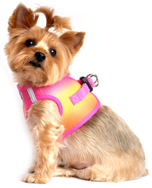 Doggie Design - American River Cool Mesh Choke-Free Harness - Raspberry Pink and Orange - Doggie Design is the FIRST and ONLY company in the world to create this Exciting New Ombre Harness Design. They used their own special color blending technique to create a beautiful Palette of Rainbow Colors. Doggie Design is the ONLY company that makes this Step in Mesh Choke Free Design in reinforced large dog sizes, up to size XXXL (approx 90 Lbs.).