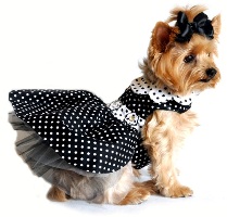 Doggie Design - This Polka Dot Dog Dress is great year round for parties. Features floral buttons with rhinestone centers at the waist. Tulle lining under skirt makes a fuller and fashionable look. Comes with a Re-enforced D-Ring and heavy duty hook and loop closures. Made with Cotton/Poly Blend Fabric. 