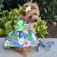 Doggie Design - Blue Lagoon Hawaiian Hibiscus Harness Dress, with Matching Leash.
