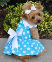Doggie Design - Blue Polka Dot Harness Dress with Matching Leash - Great for everyday wear because it's lightweight and fun with a large white collar and large white bow at waistline.  Heavy Duty Velcro Closures are safe and secure. The extra strength nylon reinforced D-Ring allows the dress to be used as a harness. Matching leash included.