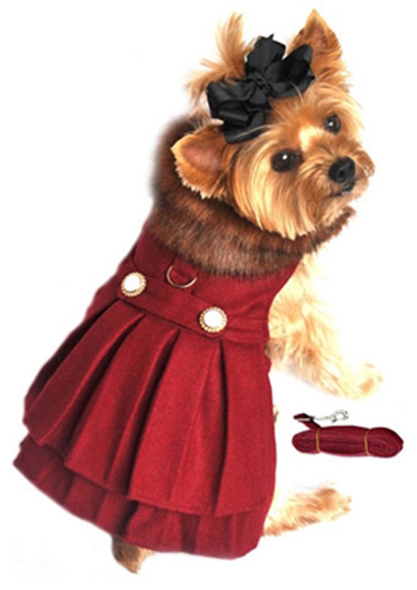 Doggie Design - Designer Burgundy Wool Harness Coat with thick and rich Brown Fur Collar.  Velcro Neck and Chest Closures. Comes with Matching Leash and D-Ring for easy leash attachment. Made with super High Quality Wool Blend for extra warmth and lined in Ultra Rich Satin. Adorned with Designer Brass Buttons.