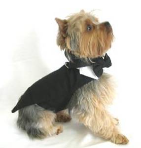 Doggie Design Black Harness Tuxedo - well tailored with tails, top hat and bow tie collar