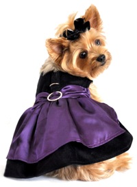 Doggie Design - Perfect for any party or celebration! Our Velvet Dog Harness Dress is made with a black velvet body and purple skirt. It is adorned with jeweled circle at back of waist.
