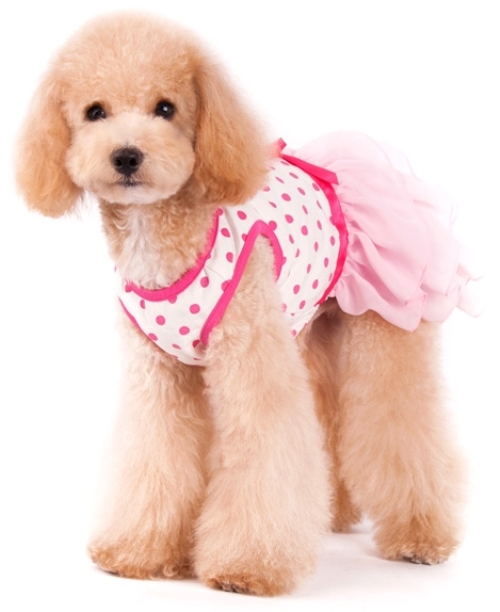 DOGO Design - Dot N Ruffle Dress - Bright and princess style look featuring polka dot patter with pretty ruffles complege with sweet pink bow. She is sure to be the center of attention. Stretch cotton bodice with convenient leash hole. 