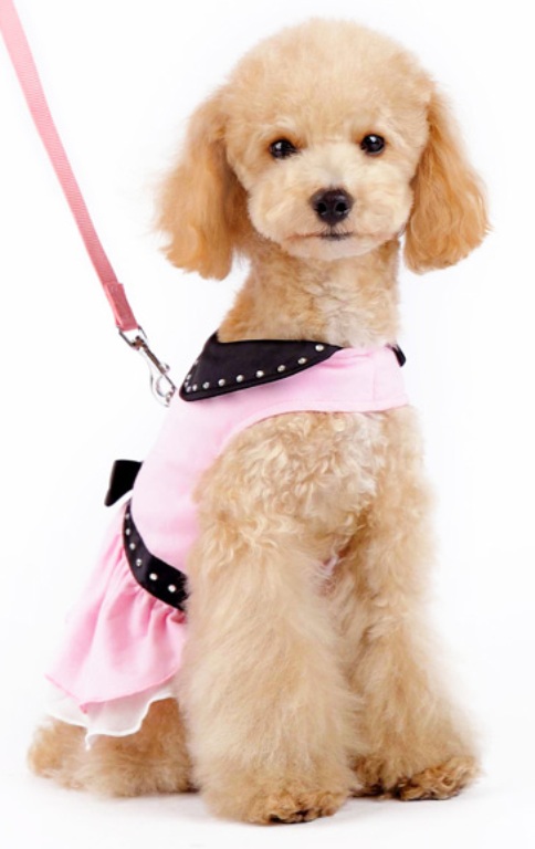 DOGO Design - Easy-D Bling Harness Dress - Rhinestones studded around collar and belt with a bling bowtie. This is a an elegant dress featuring Easy-D functionality.