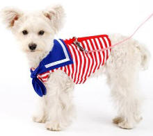 DOGO Design - EasyD Sailor Harness Vest - Sailor inspired Easy-D Harness vest.  Red stripes with detailed blue sailor collar and scarf.  Strong Velcro fastening across the chest and belly which makes them very comfortable to wear, as well as easy to remove. D ring attachment on the outside allows for simple link or removal of the leash.