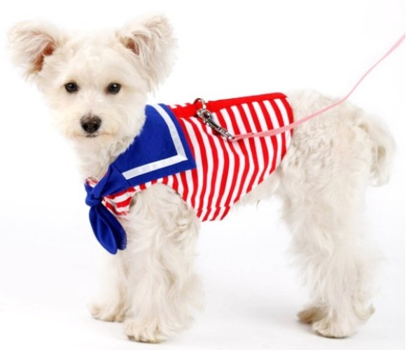 DOGO Design - EasyD Sailor Harness Vest - Sailor inspired Easy-D Harness vest.  Red stripes with detailed blue sailor collar and scarf.  Strong Velcro fastening across the chest and belly which makes them very comfortable to wear, as well as easy to remove. D ring attachment on the outside allows for simple link or removal of the leash.