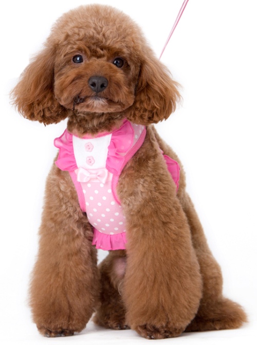 DOGO - EasyGo BowDots Step-In Harness with Leash - Polka dot with ruffle trims accented with a bowtie all pretty in pink!  The best all-in-one soft harness.  Easy, safe, and comfortable to wear.  It features buckless step-in design that is secured by a simple slide down clip.  Matching leash is included with every EasyGO!