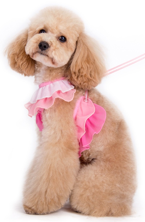 DOGO - EasyGo Multi Ruffle Step-In Harness with Leash - Pretty multi-ruffle designed EasyGO!  The best all-in-one soft harness.  Easy, safe, and comfortable to wear.  It features buckless step-in design that is secured by a simple slide down clip.  Matching leash is included with every EasyGO!