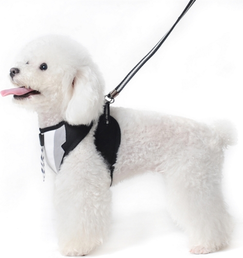 DOGO Design - EasyGo Necktie Step-In Harness with Leash - GQ inspired EasyGO Harness with an actual stripe tie.  Mr. Bond will be proud.  The best all-in-one soft harness.  Easy, safe, and comfortable to wear.  It features buckle-less step-in design that is secured by a simple slide down clip.  Matching lead is included with every EasyGO!