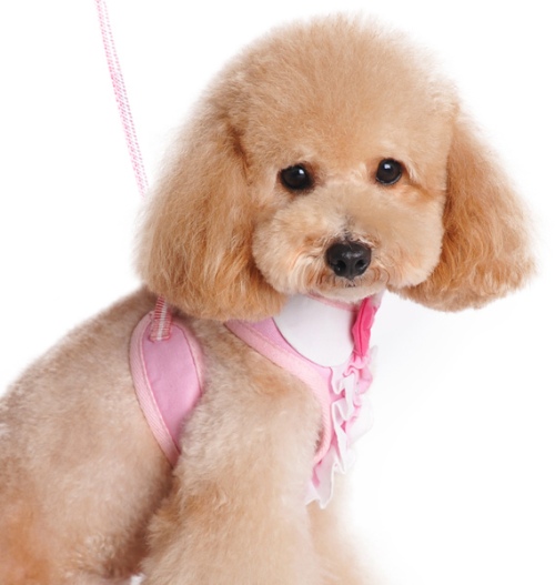 DOGO - EasyGo Ruffle Step-In Harness with Leash - Pretty ruffle with rhinestones and a pink bow.  The best all-in-one soft harness.  Easy, safe, and comfortable to wear.  It features buckless step-in design that is secured by a simple slide down clip.  Matching leash is included with every EasyGO!