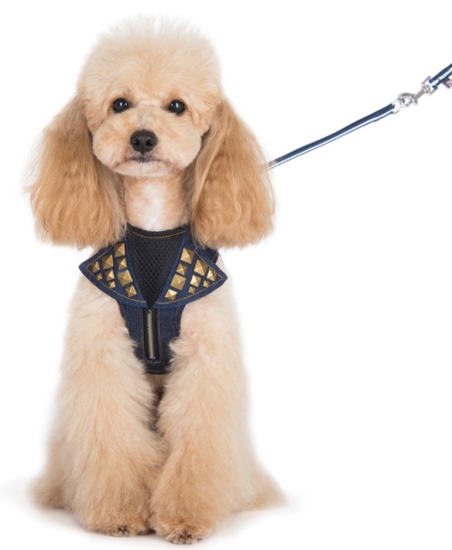 DOGO Design - EasyGo Denim Harness with Leash - Denim fabric with decorative pyramid studs.  The best all-in-one soft harness.  Easy, safe, and comfortable to wear. It features buckless step-in design that is secured by a simple slide down clip.  Matching lead is included with every EasyGO!