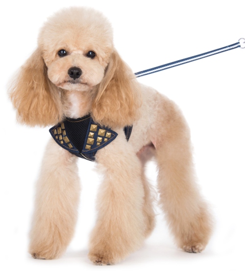 DOGO Design - EasyGo Denim Harness with Leash - Denim fabric with decorative pyramid studs.  The best all-in-one soft harness.  Easy, safe, and comfortable to wear. It features buckless step-in design that is secured by a simple slide down clip.  Matching lead is included with every EasyGO!