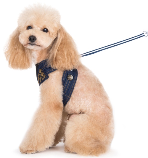 DOGO Design - EasyGo Denim Harness with Leash - Denim fabric with decorative pyramid studs.  The best all-in-one soft harness.  Easy, safe, and comfortable to wear. It features buckless step-in design that is secured by a simple slide down clip.  Matching lead is included with every EasyGO!