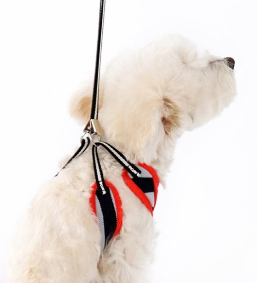 DOGO Design - EasyGo Polo Black & Red Step-In Harness with Leash.  Stripe color with Polo shirt styled collar and buttons.  The best all-in-one soft harness.  Easy, safe, and comfortable to wear.  It features buckle-less step-in design that is secured by a simple slide down clip.  Matching lead is included with every EasyGO!