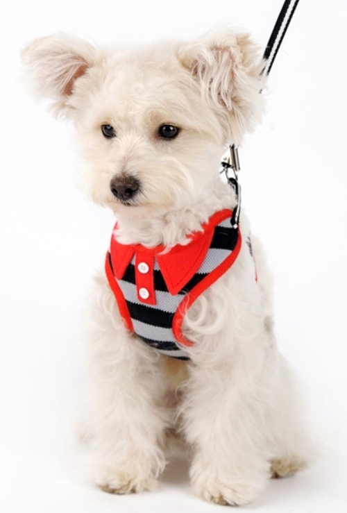 DOGO Design - EasyGo Polo Black & Red Step-In Harness with Leash.  Stripe color with Polo shirt styled collar and buttons.  The best all-in-one soft harness.  Easy, safe, and comfortable to wear.  It features buckle-less step-in design that is secured by a simple slide down clip.  Matching lead is included with every EasyGO!