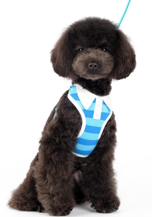 DOGO Design - EasyGo Polo Blue Step-In Harness with Leash - Blue stripes with white trim polo shirt styled collar and buttons.  The best all-in-one soft harness.  Easy, safe, and comfortable to wear.  It features buckle-less step-in design that is secured by a simple slide down clip.  Matching lead is included with every EasyGO!