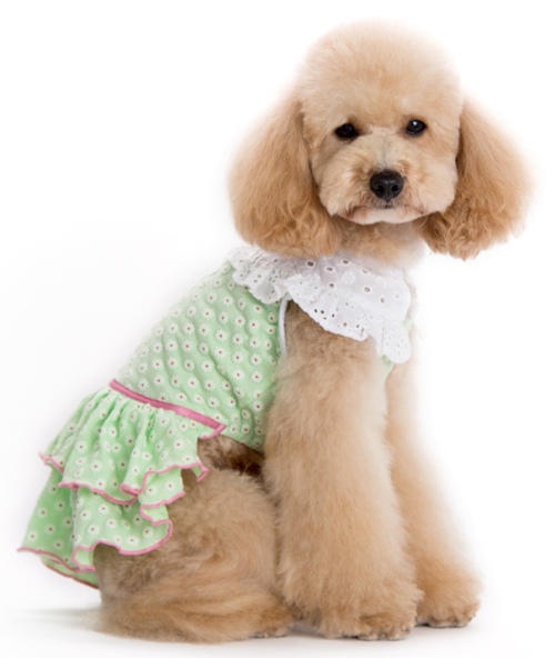 DOGO Design - Little Flower Dress - Cute flowered texture fabric with eyelet collar. Double layered designed skirt. Leash hole available below collar.