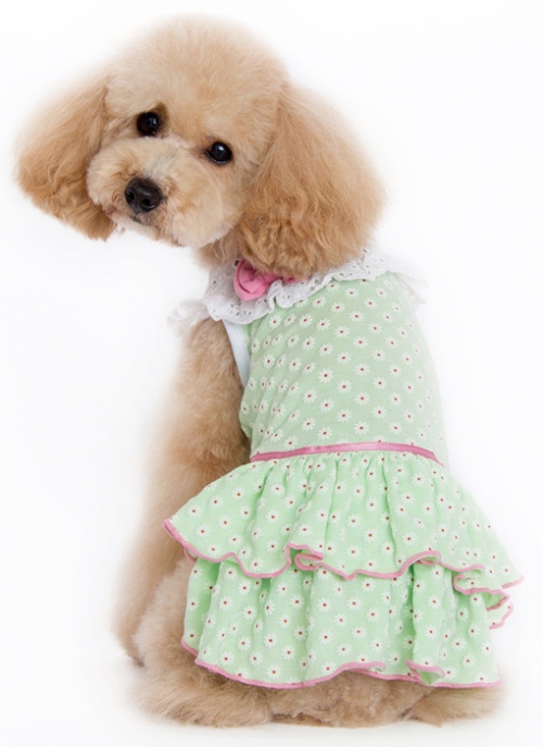DOGO Design - Little Flower Dress - Cute flowered texture fabric with eyelet collar. Double layered designed skirt. Leash hole available below collar.