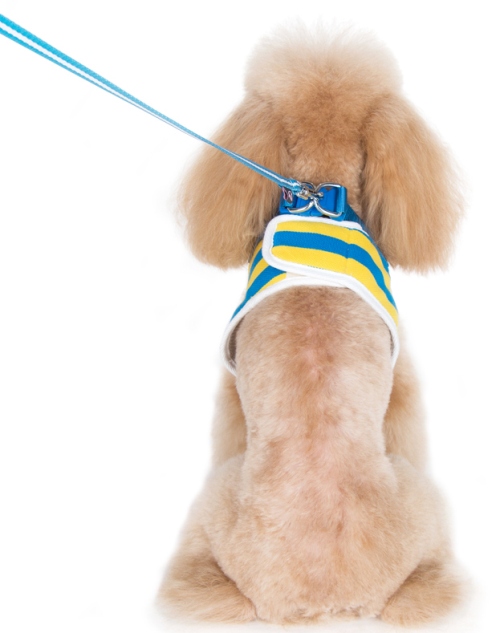 DOGO Design - SnapGo Polo Boy Blue Harness - Stripe design with polo shirt like collar and decorative buttons.  SnapGO is a soft vest styled harness.  Step in, snap the buckle, adjust girth tightness with Velcro closure, attach your leash to two D rings and GO! 