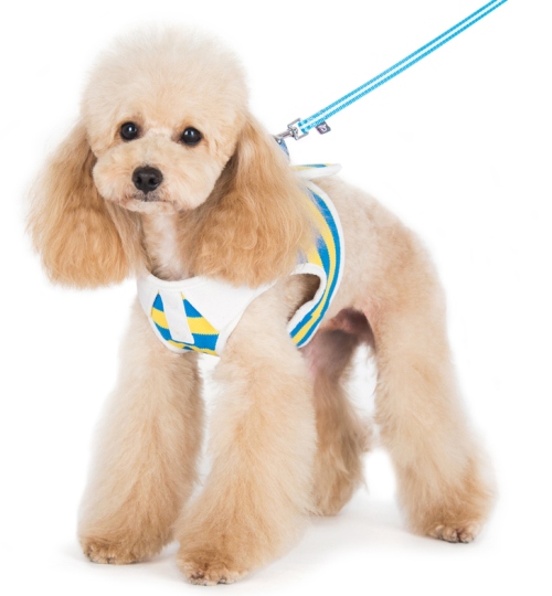 DOGO Design - SnapGo Polo Boy Blue Harness - Stripe design with polo shirt like collar and decorative buttons.  SnapGO is a soft vest styled harness.  Step in, snap the buckle, adjust girth tightness with Velcro closure, attach your leash to two D rings and GO! 