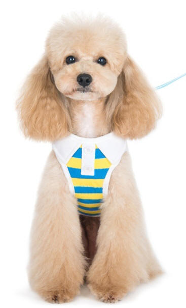 DOGO Design - SnapGo Polo Boy Blue Harness - Stripe design with polo shirt like collar and decorative buttons.  SnapGO is a soft vest styled harness.  Step in, snap the buckle, adjust girth tightness with Velcro closure, attach your leash to two D rings and GO! 