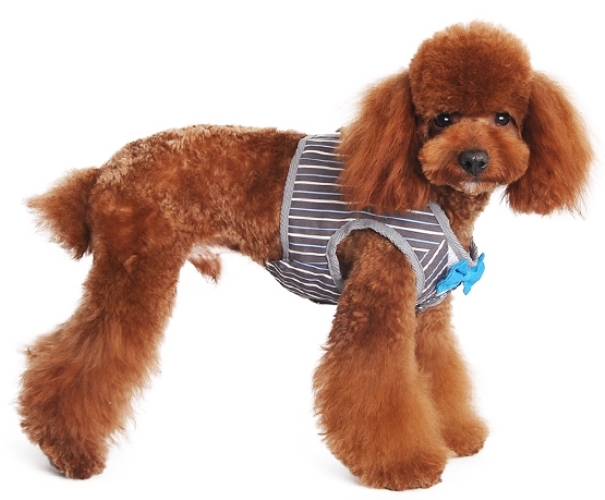 DOGO Design - SnapGo Bowtie Gentleman Harness - Striped man's sports jacket look accented with bowtie and buttons.  SnapGO is a soft vest styled harness.  Step in, snap the buckle, adjust girth tightness with Velcro closure, attach the lead to two D rings and GO!