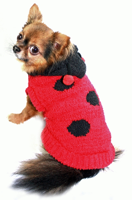 Hip Doggie - Chenille Lady Bug Sweater - Cute as a bug and comfortable for any occasion!  Super soft chenille Lady Bug sweater is just adorable!  High quality designer sweater with hood.  Washable!