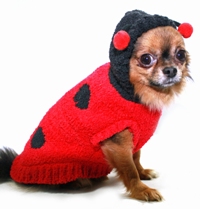 Hip Doggie - Chenille Lady Bug Sweater - Cute as a bug and comfortable for any occasion!  Super soft chenille Lady Bug sweater is just adorable!  High quality designer sweater with hood.  Washable!