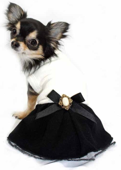 Hip Doggie - Classic Coco Sweater Dress - Cashmere-like super soft brushed sleeveless knit sweater dress with black and white bow with faux pearl & gold medallion on attached pleated black skirt. Stylish & comfortable to wear.  Made in USA.