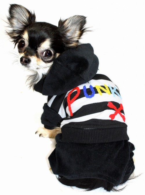 Hip Doggie - Striped Punk Jumper - Soft cotton stretch velvet one piece jumper with Velcro closure for easy on & off.  Colorful hand-embroidered letters that spell "Punk".  Machine washable.