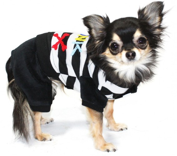 Hip Doggie - Striped Punk Jumper - Soft cotton stretch velvet one piece jumper with Velcro closure for easy on & off.  Colorful hand-embroidered letters that spell "Punk".  Machine washable.