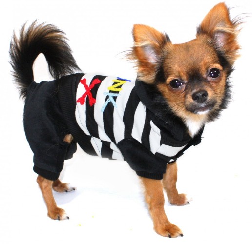 Hip Doggie - Striped Punk Jumper - Soft cotton stretch velvet one piece jumper with Velcro closure for easy on & off.  Colorful hand-embroidered letters that spell "Punk".  Machine washable.