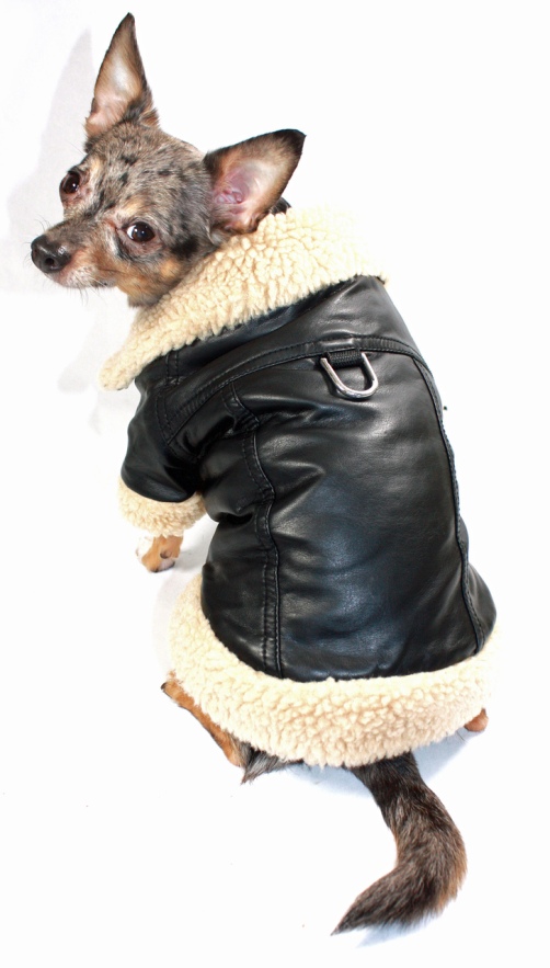 Hip Doggie - Classic Shearling Leatherette Coat - High quality faux leather jacket.  Classic style with soft shearling interior and 70's style collar.  Velcro closure for easy on and easy off.  D-ring on back for light use lead.