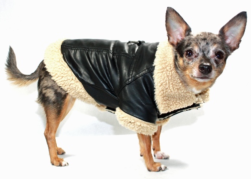 Hip Doggie - Classic Shearling Leatherette Coat - High quality faux leather jacket.  Classic style with soft shearling interior and 70's style collar.  Velcro closure for easy on and easy off.  D-ring on back for light use lead.