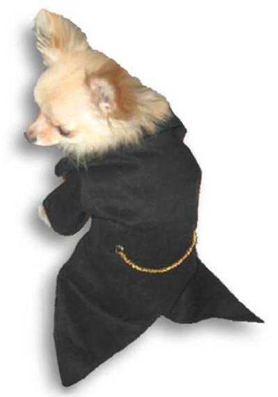 Tuxedo with shirt tails and bowtie.  Tux coat adorned with a gold chain on the back waist.  Fully lined in satiny black, velcro closure at chest.