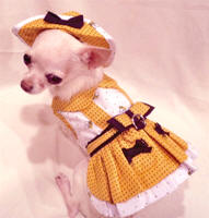 Platinum Puppy Couture - Busy Bee 4-pc Harness Dress Set - Rich goldenrod yellow with black polka dots jumper-styled harness dress, with white with goldenrod polka dots and bumble bees printed under-skirt and bodice.  Black bows accent the skirt's pockets.