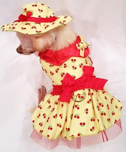 Platinum Puppy Couture - Cherry Surprise 4-pc Harness Dress Set - Adorable and unique, this 4-pc harness dress set is made with bright yellow fabric  embellished with sweet red cherries. The dress has a full ruffle design with a layer of red tulle underneath for fullness. It is embellished with a fancy ruffled edged bow. There is also a matching bow on the collar. The dress has an added D-ring for easy leash access. The set comes with the harness dress; matching sun hat, panty, and leash. The darling matching panty is great to use if your pet is in season or just as part of the outfit. It also looks darling on those dogs with a slightly longer body (if dresses are usually too short). Your little girl is sure to be the center of attention in this little outfit!!!