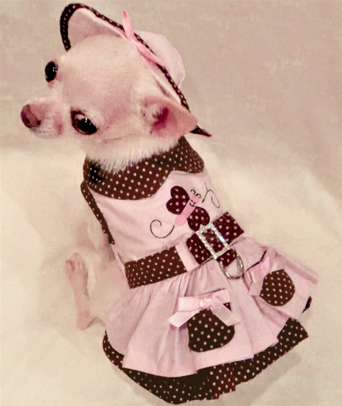 Platinum Puppy Couture - Flutter By 4-pc Harness Dress Set - Pastel pink harness dress, with chocolate brown with pastel pink polka dot print collar, belt, pockets, under-skirt, and trim.  Polka dot and embroidered butterfly on bodice.  Belt is adorned with a double-bow, and rhinestone buckle.