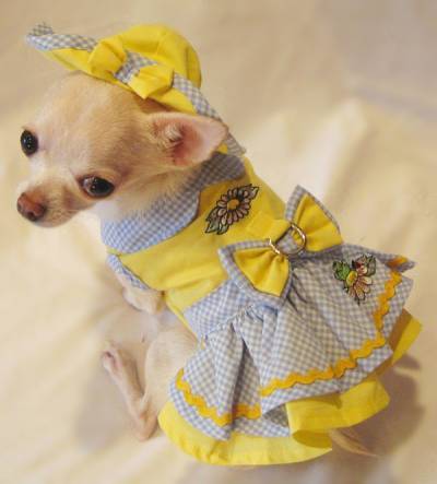 Platinum Puppy Couture - Garden Friends Harness Dress Set - This little yellow with blue gingham harness dress set is precious as well as unique!!  The bodice of the dress is embellished with a beautiful garden daisy and lady bug design.  The skirt has a double ruffle design for extra fullness.  The skirt also has yellow rick-rack trim and cute garden frog embroidery.  This dress has an added D-ring for easy leash access. I t comes with harness dress, matching flip front hat and leash.  It also comes with a darling pair of matching panties.  These are great to use if your little girl is in season or just as part of the outfit.  It also looks darling on those dogs with a slightly longer body (if dresses are usually too short).