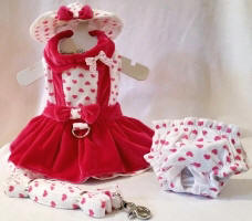 Platinum Puppy Couture - Lady Love Jumper Style Velveteen 4pc Harness Dress Set - This beautiful harness dress set is made with a white/fuchsia heart print and soft fuchsia velveteen fabric. It has a double ruffle design. The collar has a delicate tiny matching polka dot bow for added detail. This dog dress has an added D-ring for easy leash access. The set includes harness dress, panty, hat, and matching leash. The panty is great to use if your pet is in season or just as part of the outfit. It also looks darling on those dogs with a slightly longer body (if dresses are usually too short). High quality...all pieces are lined and finished.