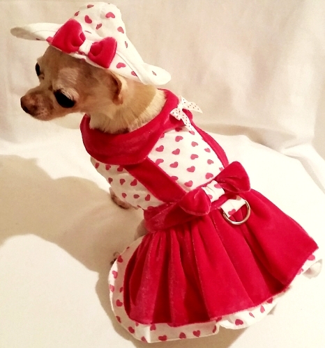 Platinum Puppy Couture - Lady Love Jumper Style Velveteen 4pc Harness Dress Set - This beautiful harness dress set is made with a white/fuchsia heart print and soft fuchsia velveteen fabric. It has a double ruffle design. The collar has a delicate tiny matching polka dot bow for added detail. This dog dress has an added D-ring for easy leash access. The set includes harness dress, panty, hat, and matching leash. The panty is great to use if your pet is in season or just as part of the outfit. It also looks darling on those dogs with a slightly longer body (if dresses are usually too short). High quality...all pieces are lined and finished.