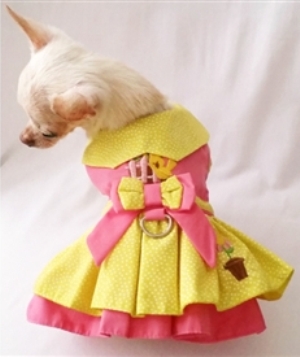 Platinum Puppy Couture - Little Chick 4-pc Harness Dress Set - Made with a bright yellow and white pin dot, and dark pink fabric.  2-layer skirt.  There are 2 embroideries on the dress - the 1st is an embroidery of a little yellow bird with pretty flowers (the colors in the embroidery include yellow, pink and brown) - the 2nd is a cute flower in a pot located on the skirt.  This dog dress has an added D-ring for easy leash access. The panties are great to use if your pet is in season or just as part of the outfit (it also looks darling on those dogs with a slightly longer body if dresses are usually too short).  All pieces are lined and finished.