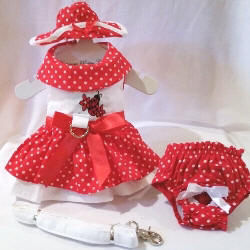 Platinum Puppy Couture - Little Lady 4-pc Harness Dress Set - This little red and white polka dot harness dress set is just precious!!  The top of the dress is embellished with a beautiful embroidered lady bug and flowers.  The skirt has a double ruffle design for extra fullness.  It has an added D-ring for easy leash access.  It comes with flip-front style matching hat and leash.  It also comes with a darling pair of matching panties.  These are great to use if your pet is in season or just as part of the outfit.  It also looks darling on those dogs with a slightly longer body (if dresses are usually too short).